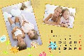All Templates photo templates Baby Calendar-4